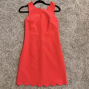NWOT J crew scalloped coral work career casual dress